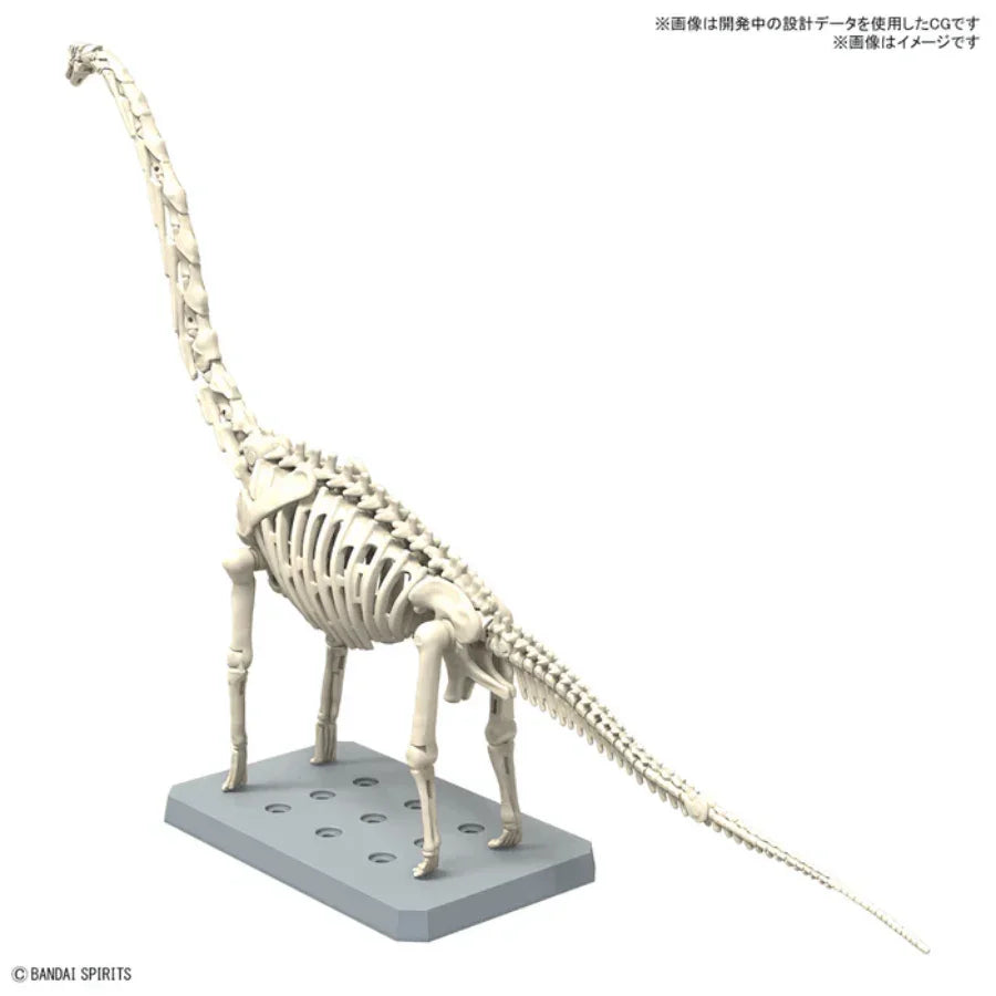 Bandai Plannosaurus Brachiosaurus - image 4