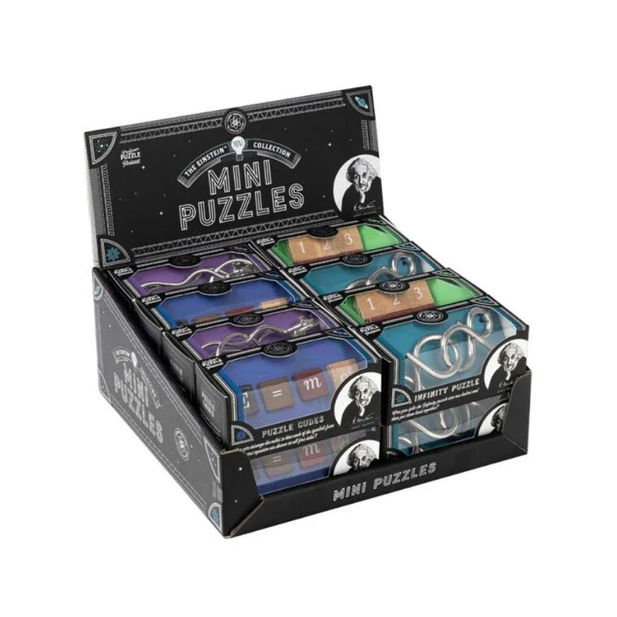Professor Puzzle Einstein Mini Puzzles – Assorted Wooden & Metal Brain Teasers