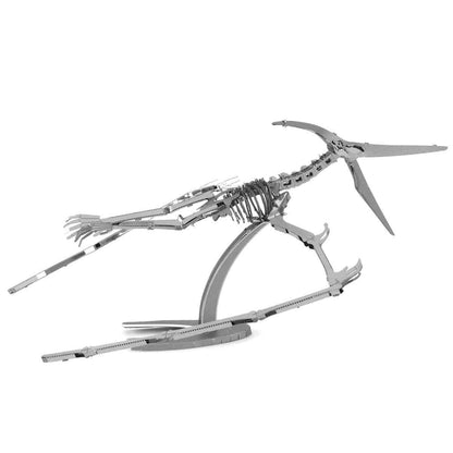 Dinosaur Pteranodon Skeleton - Aussie Hobbies 