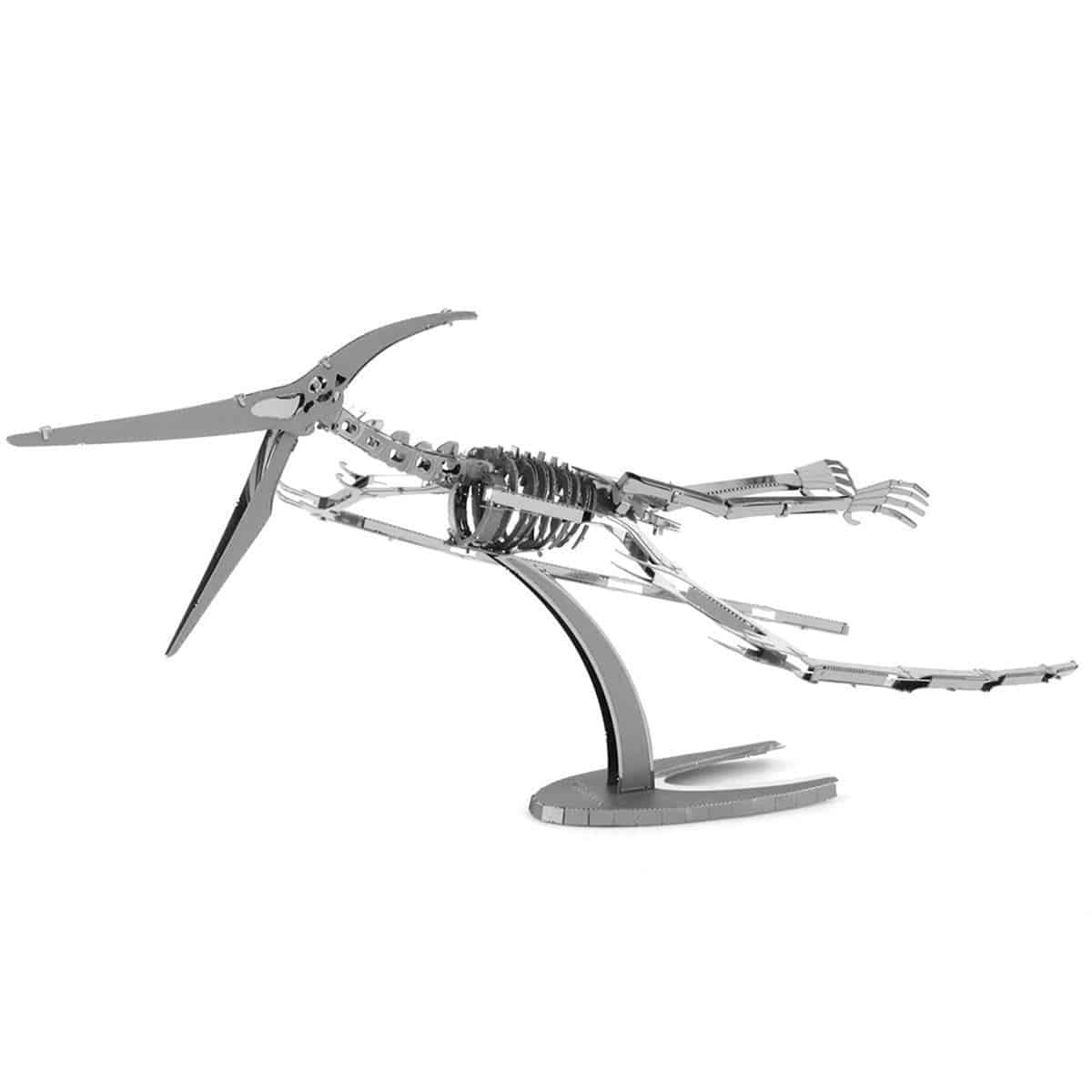 Dinosaur Pteranodon Skeleton - Aussie Hobbies 