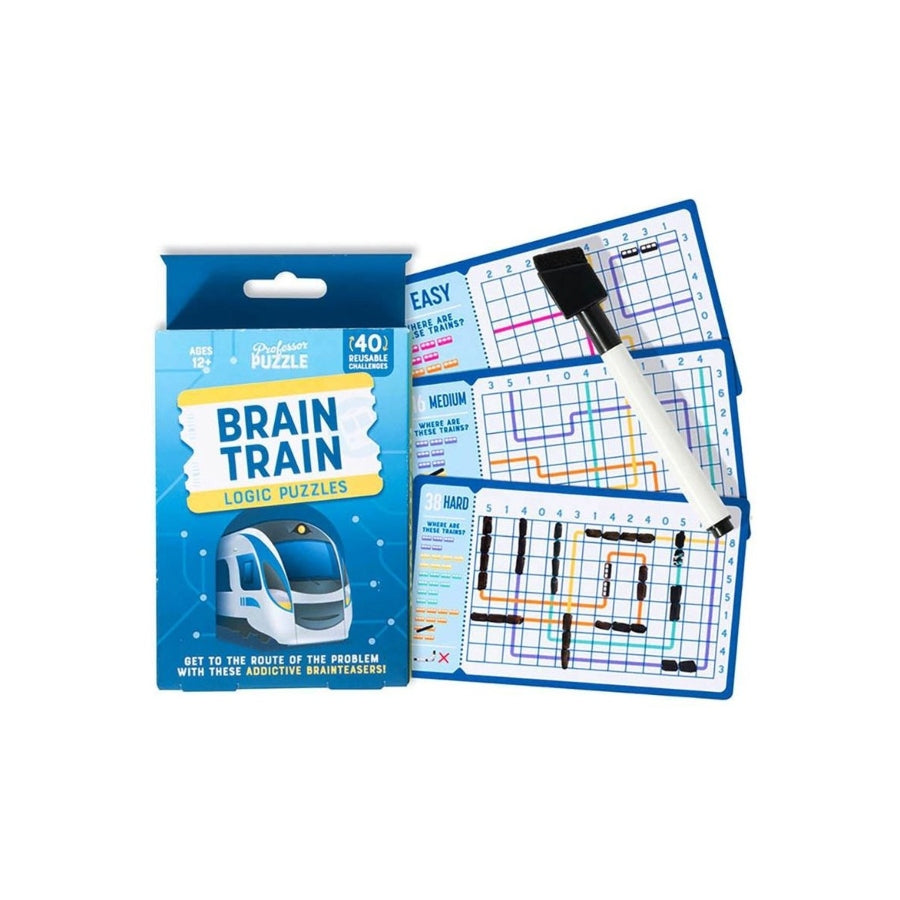 Professor Puzzle Brain Train Logic Puzzles reusable travel puzzle game