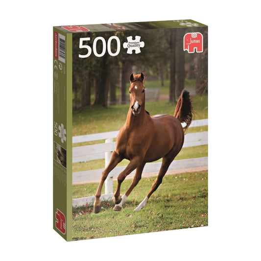 Jumbo - Playful Foal Puzzle 500pc