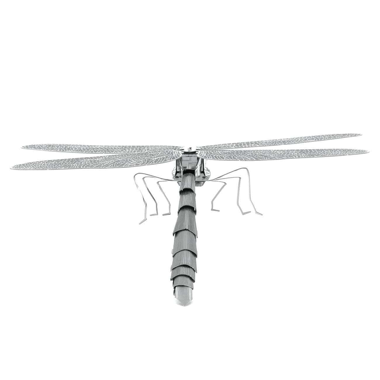 Dragon Fly - Aussie Hobbies 