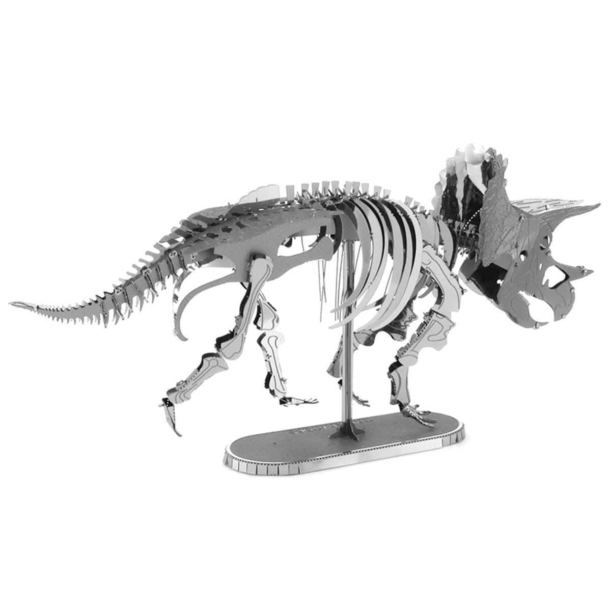 Dinosaur Triceratops Skeleton - Aussie Hobbies 