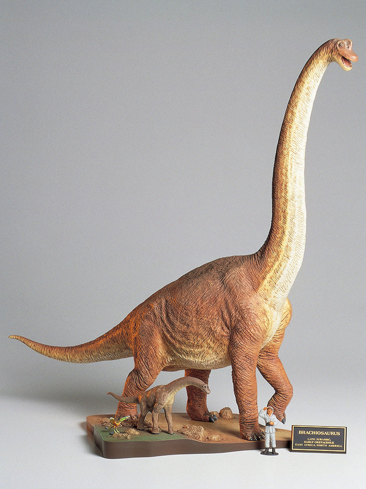 Tamiya Brachiosaurus Diorama Set 1:35 Plastic Model Kit - Aussie Hobbies 