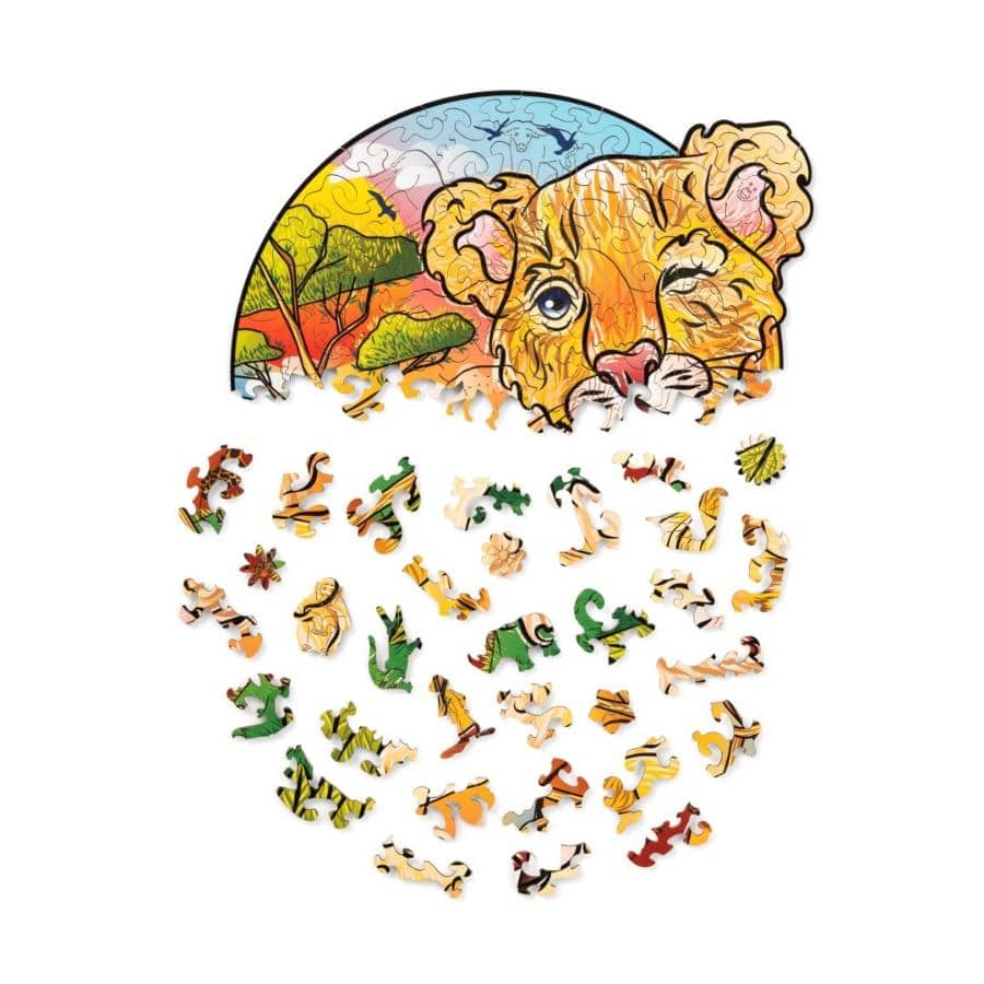 [Product Name] - [Key Feature or Use] | Aussie Hobbies Australia